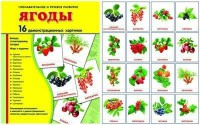 Демонстрационные карточки "Ягоды" - fgospostavki.ru - Новосибирск
