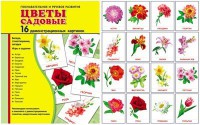 Демонстрационные карточки "Цветы садовые" - fgospostavki.ru - Новосибирск