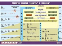 Таблица демонстрационная "Сравнение понятий изомер и гомолог" (винил 70x100) - fgospostavki.ru - Новосибирск