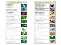 Комплект карточек (10) "Обучающий калейдоскоп. Природа" - fgospostavki.ru - Новосибирск