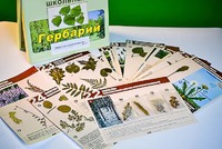 Гербарий к курсу основ общей биологии - fgospostavki.ru - Новосибирск