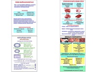 Плакаты ПРОФТЕХ "Классификации и виды мяса" (4 пл, винил, 70х100) - fgospostavki.ru - Новосибирск