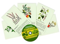 Интерактивный наглядный комплекс "Гербарий "Для начальной школы" - fgospostavki.ru - Новосибирск