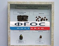Коллекция энтомологическая "Примеры защитных приспособлений у насекомых" - fgospostavki.ru - Новосибирск