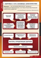 Комплект таблиц. ОБЖ. Здоровый образ жизни. - fgospostavki.ru - Новосибирск