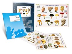Комплект кодотранспарантов "Грибы" - fgospostavki.ru - Новосибирск