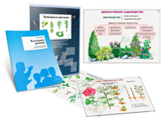 Комплект кодотранспарантов "Культурные растения" - fgospostavki.ru - Новосибирск