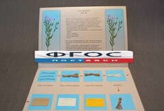 Коллекция "Лен для начальной школы" - fgospostavki.ru - Новосибирск