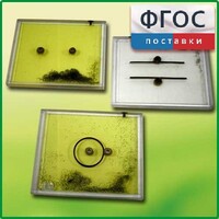 Набор для демонстрации электрических полей - fgospostavki.ru - Новосибирск