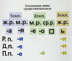 Набор магнитных карточек "Склонение имен существительных" - fgospostavki.ru - Новосибирск