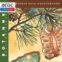 Ботаника. Микрофотографии. (Цифровая база изображений) - fgospostavki.ru - Новосибирск