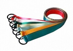 Лента гимнастическая на кольце (0,25 метра) - fgospostavki.ru - Новосибирск