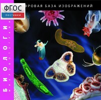 Биология. Микрофотографии. (Цифровая база изображений) - fgospostavki.ru - Новосибирск