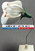 Модель "Цветок гороха" - fgospostavki.ru - Новосибирск