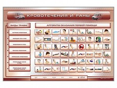 Трехсекционный базовый комплект "Травмы. Кровотечения. Ожоги" для учащихся общеобразовательных учреждений - fgospostavki.ru - Новосибирск