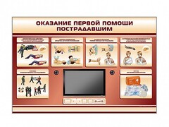 Многофункциональный интерактивный стенд-тренажер "Оказание первой помощи пострадавшим" для учащихся общеобразовательных учреждений - fgospostavki.ru - Новосибирск