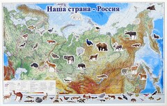 Магнитные карточки "Животные" - fgospostavki.ru - Новосибирск