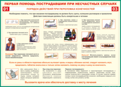 Таблица "Порядок действий при переломах конечностей" (100х140 сантиметров, винил) - fgospostavki.ru - Новосибирск