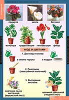Комплект таблиц. Окружающий мир 1 класс. - fgospostavki.ru - Новосибирск