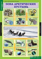 Комплект таблиц. Окружающий мир 4 класс. - fgospostavki.ru - Новосибирск