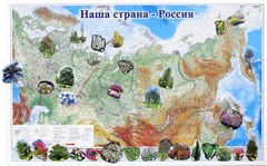 Магнитные карточки "Растения" - fgospostavki.ru - Новосибирск