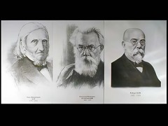 Портреты биологов (26 штук, формат А3) - fgospostavki.ru - Новосибирск