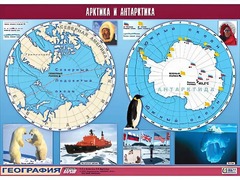 Таблица демонстрационная "Арктика и Антарктика" (винил 100*140) - fgospostavki.ru - Новосибирск