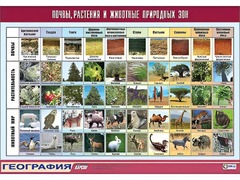 Таблица демонстрационная "Почвы, растения и животные природных зон" (винил 70*100) - fgospostavki.ru - Новосибирск