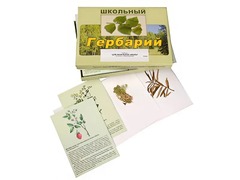 Гербарий "Для начальной школы" (30 видов, с иллюстрациями) - fgospostavki.ru - Новосибирск