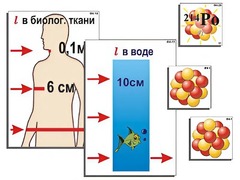 Модель-аппликация "Явление радиоактивности" (ламинированная) - fgospostavki.ru - Новосибирск