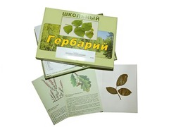 Гербарий "Дикорастущие растения" (30 видов, с иллюстрациями) - fgospostavki.ru - Новосибирск