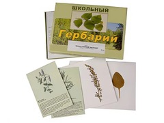 Гербарий "Лекарственные растения" (22 вида с иллюстрациями) - fgospostavki.ru - Новосибирск