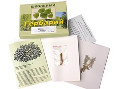 Гербарий "Водоросли. Грибы. Лишайники" (раздаточный) - fgospostavki.ru - Новосибирск
