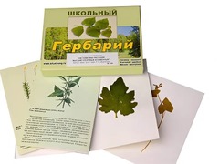 Гербарий "Систематика растений. Высшие споровые и семенные" (раздаточный) - fgospostavki.ru - Новосибирск