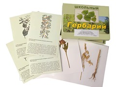 Гербарий "Систематика растений. Семейство Бобовые. Злаки" (раздаточный) - fgospostavki.ru - Новосибирск