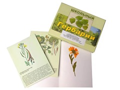 Гербарий "Систематика растений. Семейство Пасленовые. Крестоцветные. Сложноцветные" (раздаточный) - fgospostavki.ru - Новосибирск