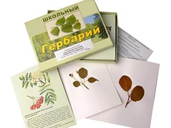 Гербарий "Систематика растений. Семейство Розоцветные" (раздаточный) - fgospostavki.ru - Новосибирск