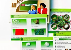 Коллекция "Шелк и продукты его переработки" (средняя школа) - fgospostavki.ru - Новосибирск