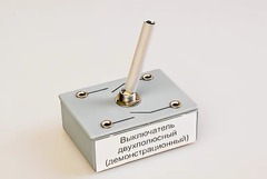 Выключатель двухполюсный (демонстрационный) - fgospostavki.ru - Новосибирск