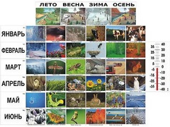 Фенологические наблюдения - fgospostavki.ru - Новосибирск