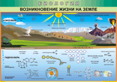 Таблица "Возникновение жизни на земле" (100х140 сантиметров, винил) - fgospostavki.ru - Новосибирск