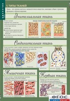 Комплект таблиц. Биология 8-9 класс. Человек. - fgospostavki.ru - Новосибирск