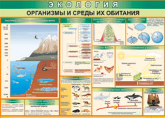 Таблица "Организмы и среды их обитания" (100х140 сантиметров, винил) - fgospostavki.ru - Новосибирск