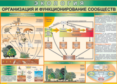 Таблица "Организация и функционирование сообществ" (100х140 сантиметров, винил) - fgospostavki.ru - Новосибирск