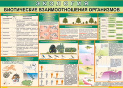 Таблица "Биотические взаимоотношения организмов" (100х140 сантиметров, винил) - fgospostavki.ru - Новосибирск