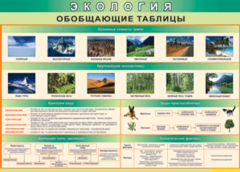 Таблица "Экология. Обобщающие таблицы" (100х140 сантиметров, винил) - fgospostavki.ru - Новосибирск