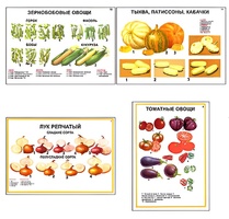 Плакаты ПРОФТЕХ "Ассортимент овощных культур" (12 пл, винил, 70х100) - fgospostavki.ru - Новосибирск