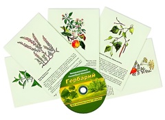 Интерактивный наглядный комплекс "Гербарий "Для начальной школы" - fgospostavki.ru - Новосибирск