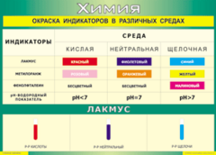 Таблица "Окраска индикаторов в различных средах" (100х140 сантиметров, винил) - fgospostavki.ru - Новосибирск