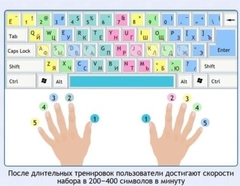 Интерактивные курсы. Информатика 7 класс . Базовый. - fgospostavki.ru - Новосибирск